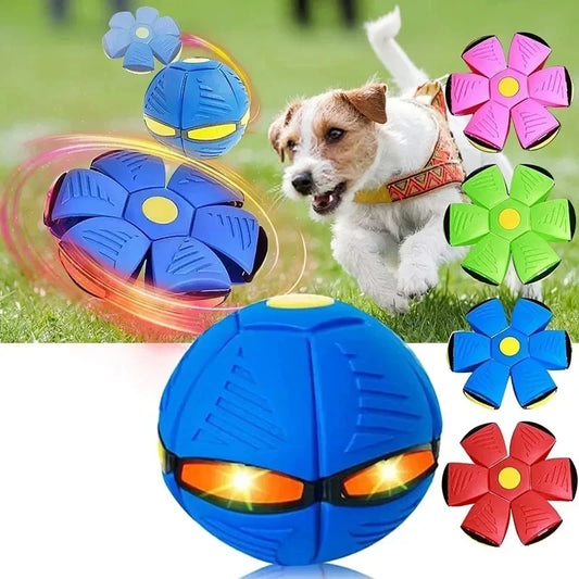 Lumpets Flying Disc