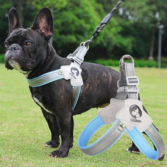 Lumpets Dog harness